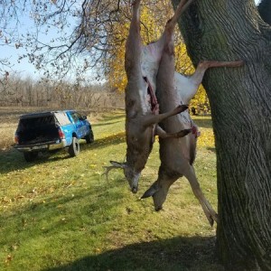 Tagged out