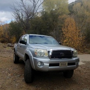 November out in Tonto Ntnl Forest