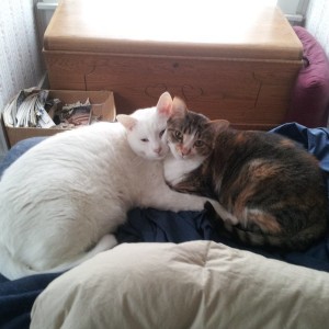 Bro and Sis