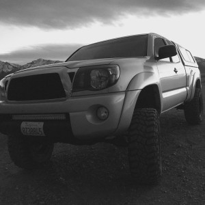 Taco