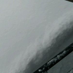 Just a quick peak out the door and nope not getting out any time soon