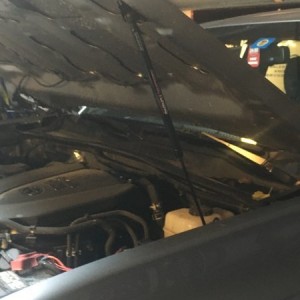redline struts