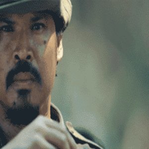 Giphy (5)