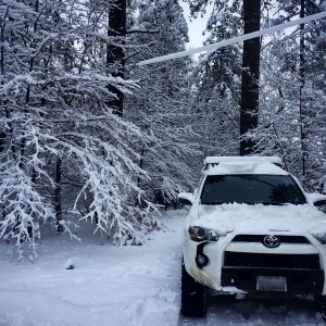 I'm dreaming of a white Christmas! Over a foot in 1 night. Completely bare last night.