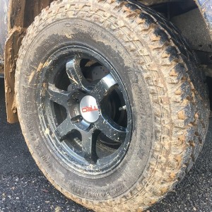 Let There Be Mud