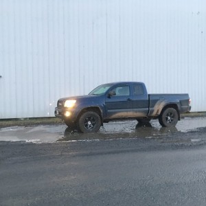 Let There Be Mud