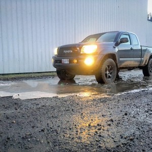 Let There Be Mud