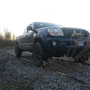 Let There Be Mud