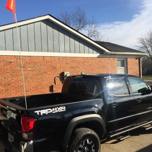 Whip flag