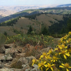 WABDR_049