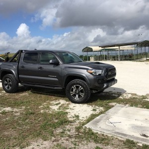 Taco