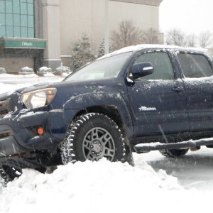 Flexed Left Front