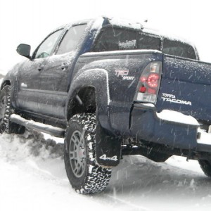 Flexed Left Rear
