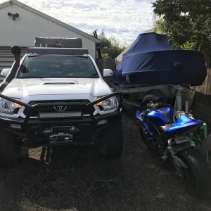 The toys