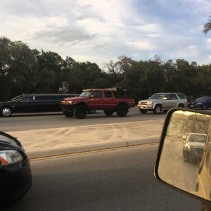 Spotted