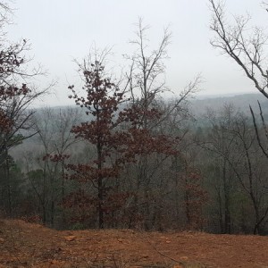 20170113_090857
