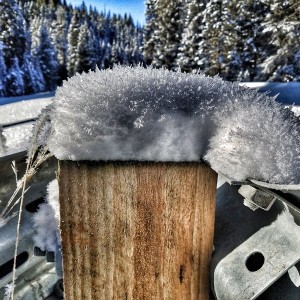 20170115_105627-01