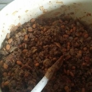Getting started on some elk chili