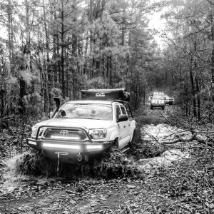B&W Multi Vehicle 1 (2 Of 2)