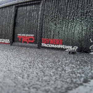 Icetivites