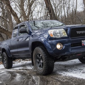 Snowtivites