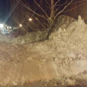 I have my own ski hill in my front yard now