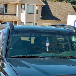 Roof Rack 1