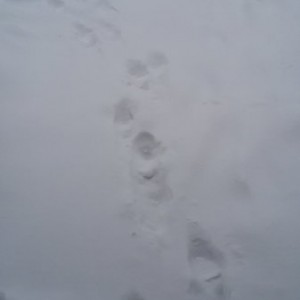 20170209_131101
