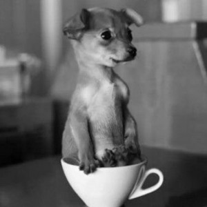 Monday