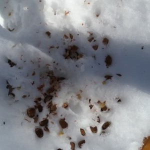 20170221_111000