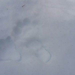 20170222_121939