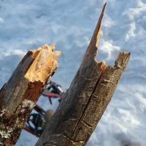 20170222_155459