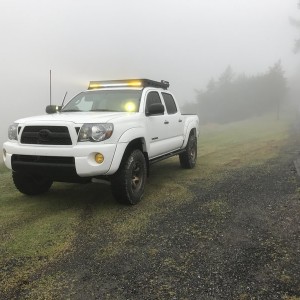 Top of Mt. Tam