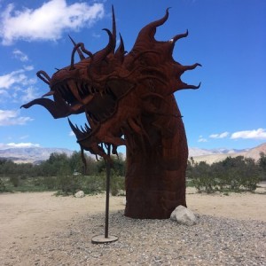 Out in Borrego Springs yesterday.