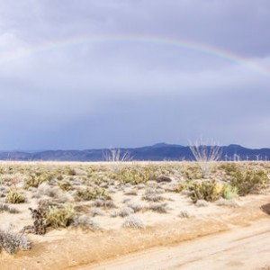IMG_7451_Signature-3