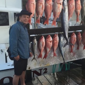 Fish