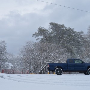 snow n stuff