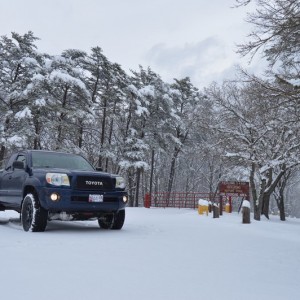 snow n stuff