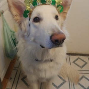 St. Pattys day