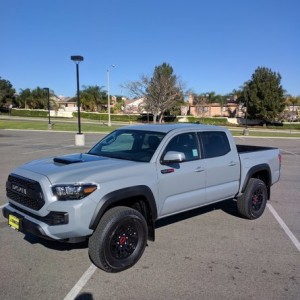 Taco 6