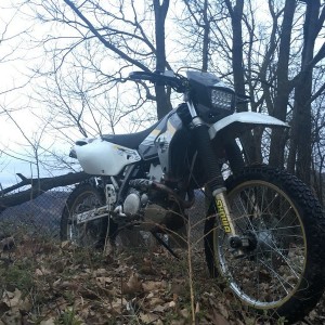 Snow and Braptivities