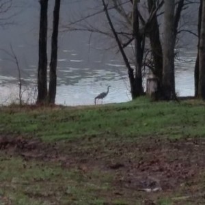 20170318_071733_zpsmfz0ql5d