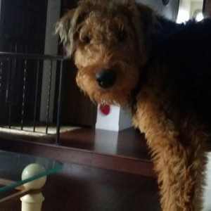 7 months