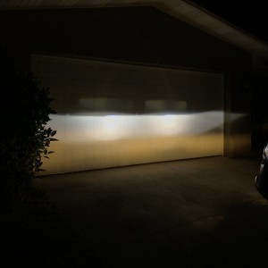 HIDs18