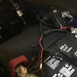 HIDs29