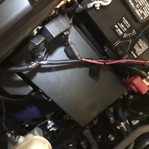 HIDs31
