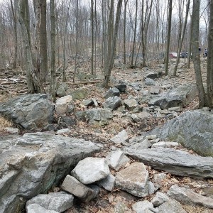 20170325_125213