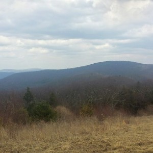 IMG_20170325_190049