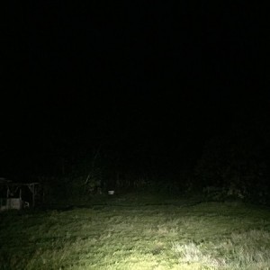 Head lights