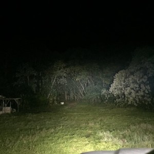 Light bar